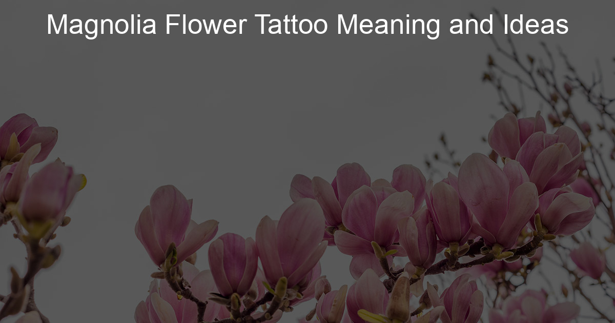 Magnolia flowers from last year 💛... - Hettie Baker Tattoo | Facebook